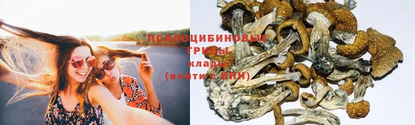 apvp Дедовск