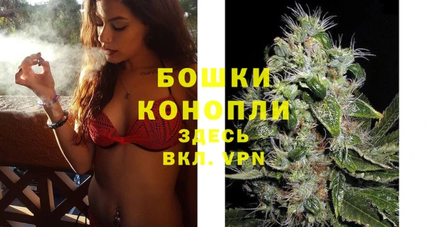 метадон Каменка