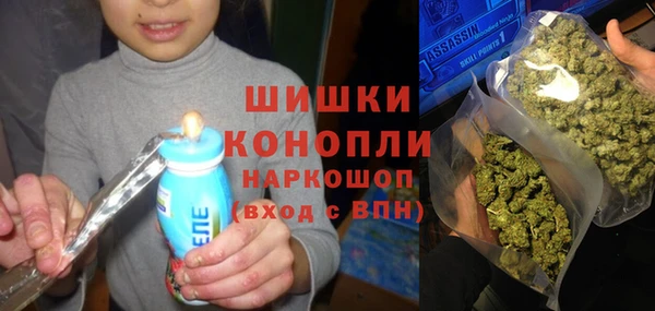 метадон Каменка