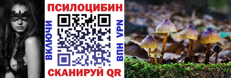 Псилоцибиновые грибы Psilocybe  Иннополис 